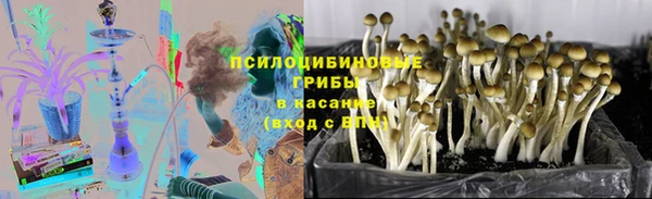 СК Беломорск