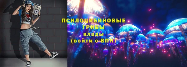 СК Беломорск