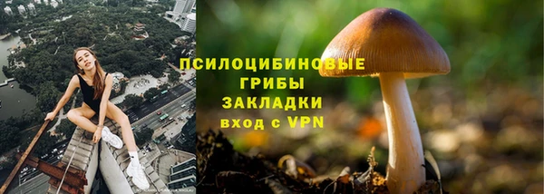 СК Беломорск